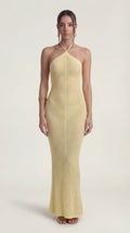 Velvet / Maxi dress